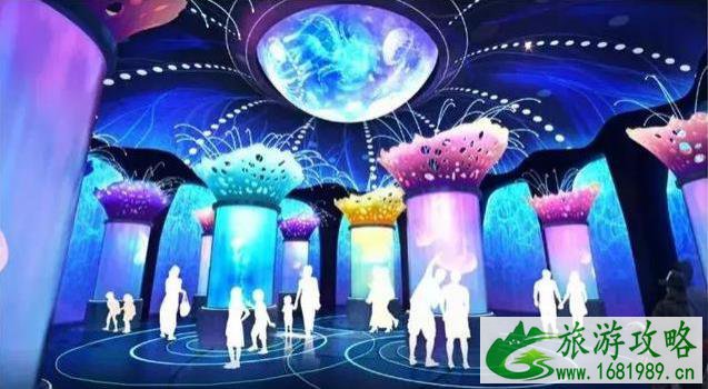 2022上海海昌海洋公园攻略(开业时间+门票价格+交通指南) 2022上海海昌海洋公园攻略(开业时间+门票价格+交通指南)