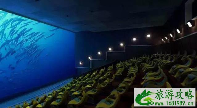 2022上海海昌海洋公园攻略(开业时间+门票价格+交通指南) 2022上海海昌海洋公园攻略(开业时间+门票价格+交通指南)