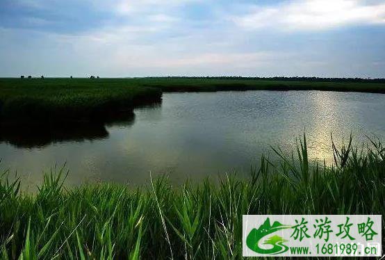 南大港湿地门票多少钱 南大港湿地有什么好玩的 好吃的 南大港湿地门票多少钱 南大港湿地有什么好玩的 好吃的