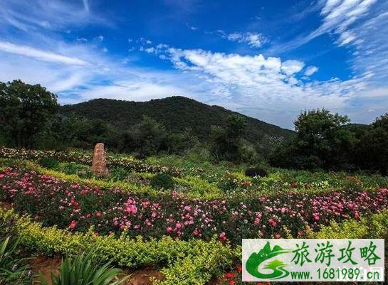 河南2022年教师节免费景点