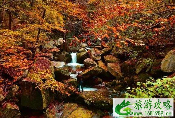 河南2022年教师节免费景点