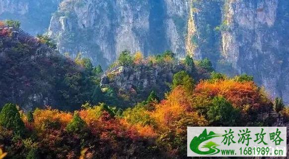 河南2022年教师节免费景点