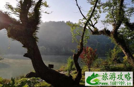 2022教师节免费景点 湖南优惠景点有哪些
