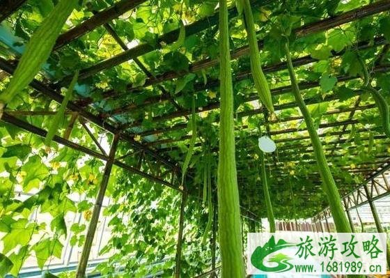 2022教师节免费景点 湖南优惠景点有哪些