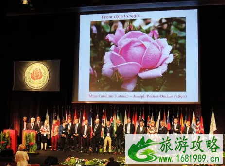 2022北京植物园月季文化节门票价格 2022北京植物园月季文化节门票价格