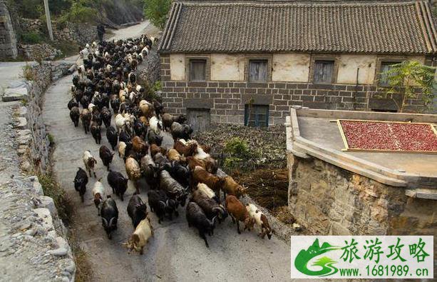 王家灿村旅游攻略 王家灿村在哪里 王家灿村旅游攻略 王家灿村在哪里