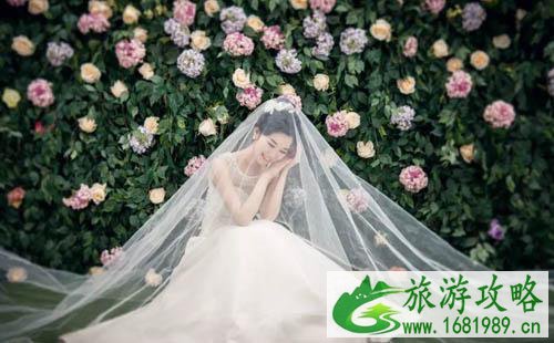 看玫瑰去哪里+景点介绍