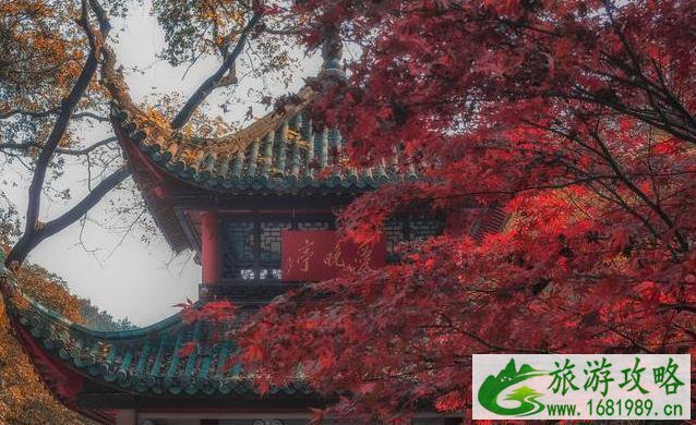 中国免费5a景区有哪些 中国免费的5a景区名单 中国免费5a景区有哪些 中国免费的5a景区名单