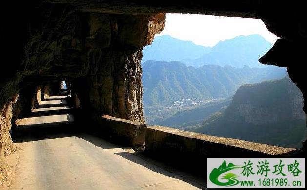 王莽岭景区门票价格2022+优惠政策 王莽岭景区门票价格2022+优惠政策