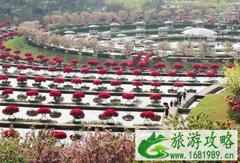 2022中国旅游日新津花舞人间门票价格+优惠信息 2022中国旅游日新津花舞人间门票价格+优惠信息
