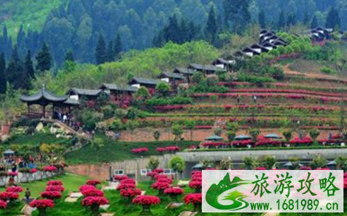 2022中国旅游日新津花舞人间门票价格+优惠信息 2022中国旅游日新津花舞人间门票价格+优惠信息