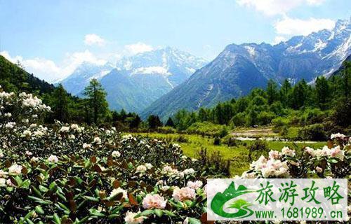2022中国旅游日毕棚沟景区门票免费吗 2022中国旅游日毕棚沟景区门票免费吗