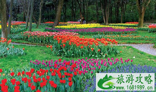 2022科技周武汉植物园免费门票在哪领+怎么领 2022科技周武汉植物园免费门票在哪领+怎么领