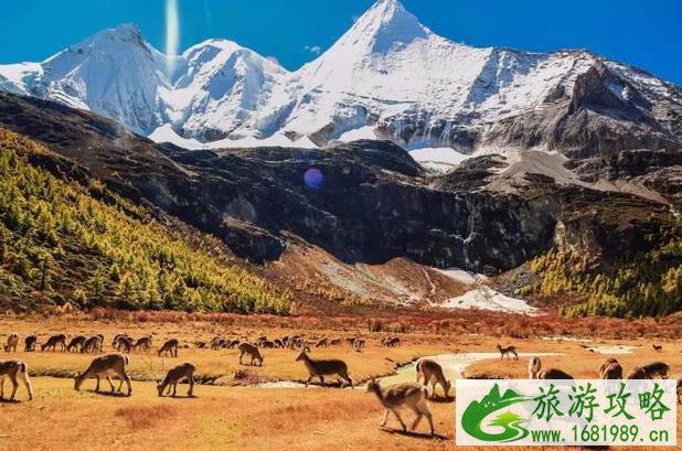 稻城亚丁旅游最佳季节几月去最好(附超详细旅游攻略) 稻城亚丁旅游最佳季节几月去最好(附超详细旅游攻略)