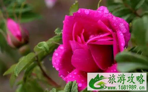 北京适合带妈妈一起游玩的地方有哪些