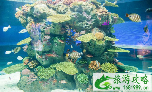 2022母亲节广州正佳极地海洋世界门票优惠活动 2022母亲节广州正佳极地海洋世界门票优惠活动