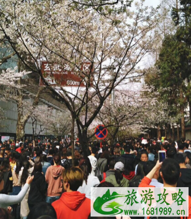 南京旅游线路推荐 南京旅游线路推荐