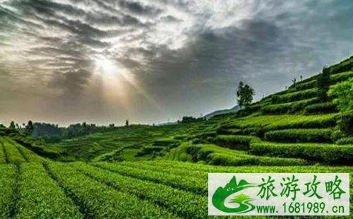 雅西高速公路沿途景点
