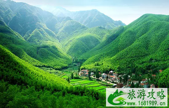 重庆周边有哪些避暑的竹林景点