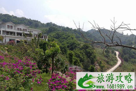 重庆巴南乡村印象门票多少钱2022+优惠政策 重庆巴南乡村印象门票多少钱2022+优惠政策