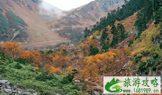 梅里雪山转山路线 梅里雪山转山攻略