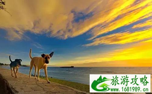 东南亚穷游可以去哪些国家+景点介绍