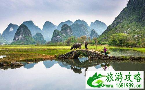 去桂林旅游 龙脊梯田到阳朔怎么坐车 去桂林旅游 龙脊梯田到阳朔怎么坐车