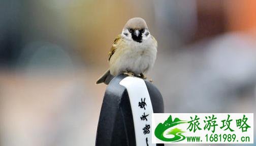 酒店走廊尽头的房间为什么不能住 酒店走廊尽头的房间为什么不能住