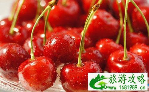 武汉摘樱桃的地方2022 武汉周边哪里可以摘樱桃 武汉摘樱桃的地方2022 武汉周边哪里可以摘樱桃