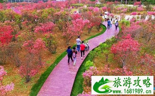 长沙园林生态园门票多少钱2022 长沙园林生态园门票多少钱2022