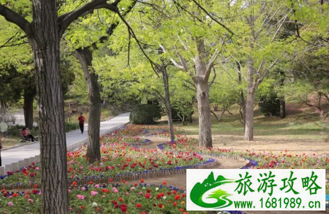 北京香山公园山花赏花路线2022+游玩攻略 北京香山公园山花赏花路线2022+游玩攻略