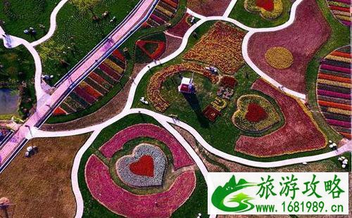 五一假期，去湖北宜昌赏花去哪里  攻略2022