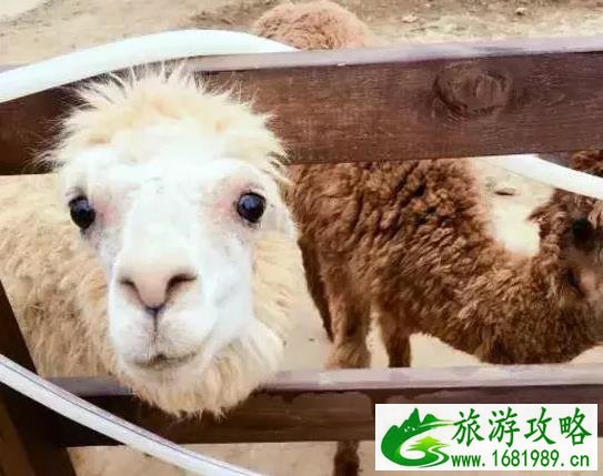 南京冷门景点推荐 南京周边冷门旅游景点 南京冷门景点推荐 南京周边冷门旅游景点