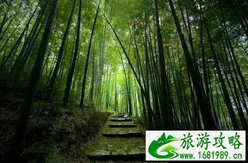 南京冷门景点推荐 南京周边冷门旅游景点 南京冷门景点推荐 南京周边冷门旅游景点