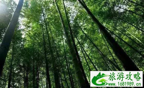 南京冷门景点推荐 南京周边冷门旅游景点 南京冷门景点推荐 南京周边冷门旅游景点