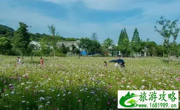 南京冷门景点推荐 南京周边冷门旅游景点 南京冷门景点推荐 南京周边冷门旅游景点