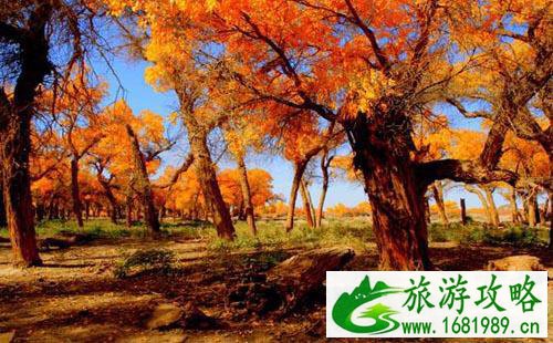 去内蒙古旅游的最佳时间  内蒙古旅游去哪玩好