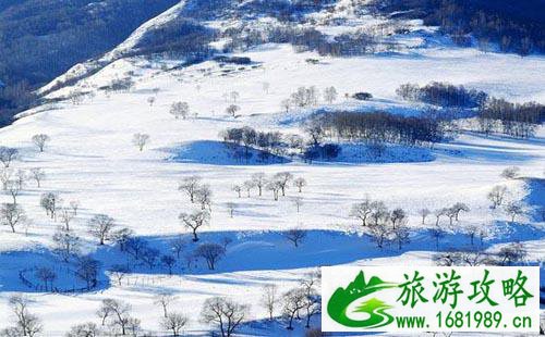 去内蒙古旅游的最佳时间  内蒙古旅游去哪玩好