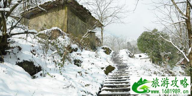 2022西岭雪山门票价格+优惠政策学生票