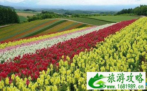 2022房山天开花海旅游嘉年华怎么去+时间+地址