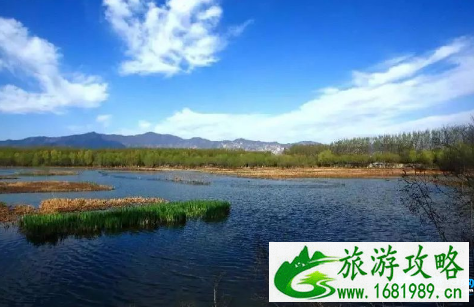 北京翠湖湿地公园门票多少钱+怎么去 北京翠湖湿地公园门票多少钱+怎么去