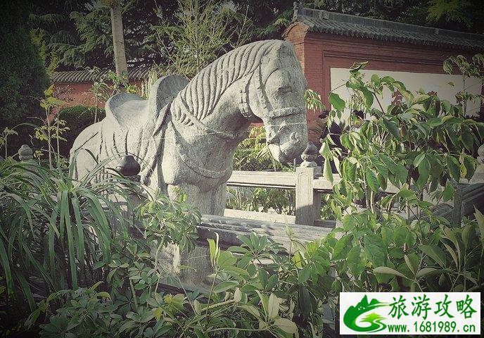 白马寺开门时间 白马寺开放时间2022 白马寺开门时间 白马寺开放时间2022