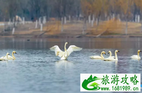 2022北京适合踏青的地方有哪些 2022北京适合踏青的地方有哪些
