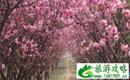 2022北京适合踏青的地方有哪些 2022北京适合踏青的地方有哪些