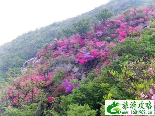 黄冈旅游年卡2022 黄冈旅游一票通景点大全+价格+地址 黄冈旅游年卡2022 黄冈旅游一票通景点大全+价格+地址