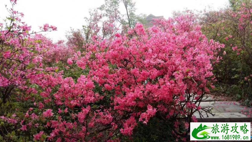 黄冈旅游年卡2022 黄冈旅游一票通景点大全+价格+地址 黄冈旅游年卡2022 黄冈旅游一票通景点大全+价格+地址
