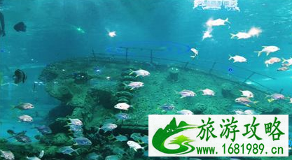 西安幻太奇海洋馆门票多少钱 西安幻太奇海洋馆怎么去 西安幻太奇海洋馆门票多少钱 西安幻太奇海洋馆怎么去