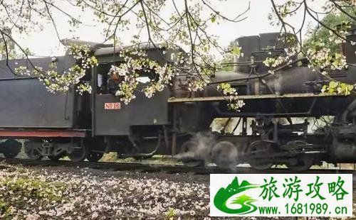 重庆周边冷门景点 重庆周边人少的景点有哪些