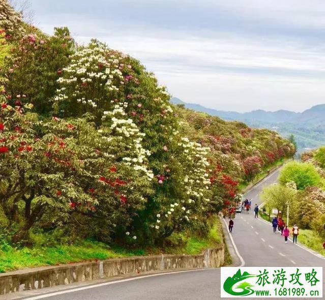 重庆周边冷门景点 重庆周边人少的景点有哪些