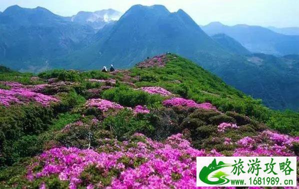 重庆周边冷门景点 重庆周边人少的景点有哪些